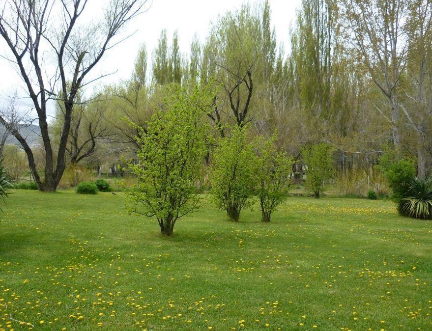 Отель Hosteria Chimehuin Хунин-де-лос-Андес Экстерьер фото